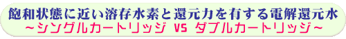 �O�a��Ԃɋ߂��n�����f�ƊҌ��͂�L����d���Ҍ����`�V���O���J�[�g���b�WVS�_�u���J�[�g���b�W�`