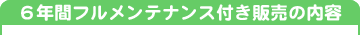 6�N�ԃt�������e�i���X�t�̔��̓��e