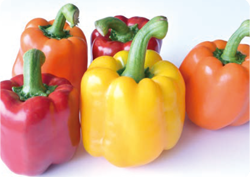 電解水素水で作ったパプリカ