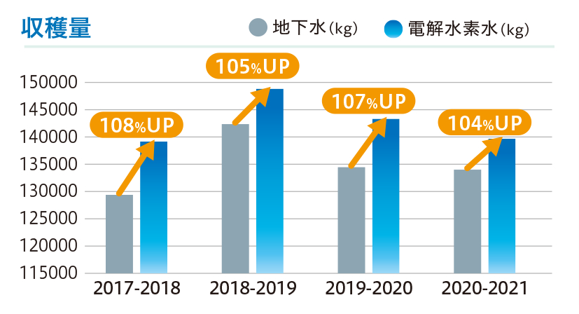 水道水で育ったパプリカと、電解水素水で育ったパプリカの収穫量比較