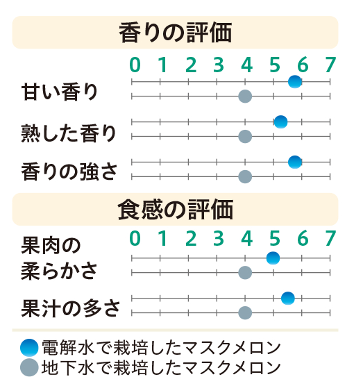 琵琶湖水で育ったメロンと電解水素水で育ったメロンの香りと触感の評価