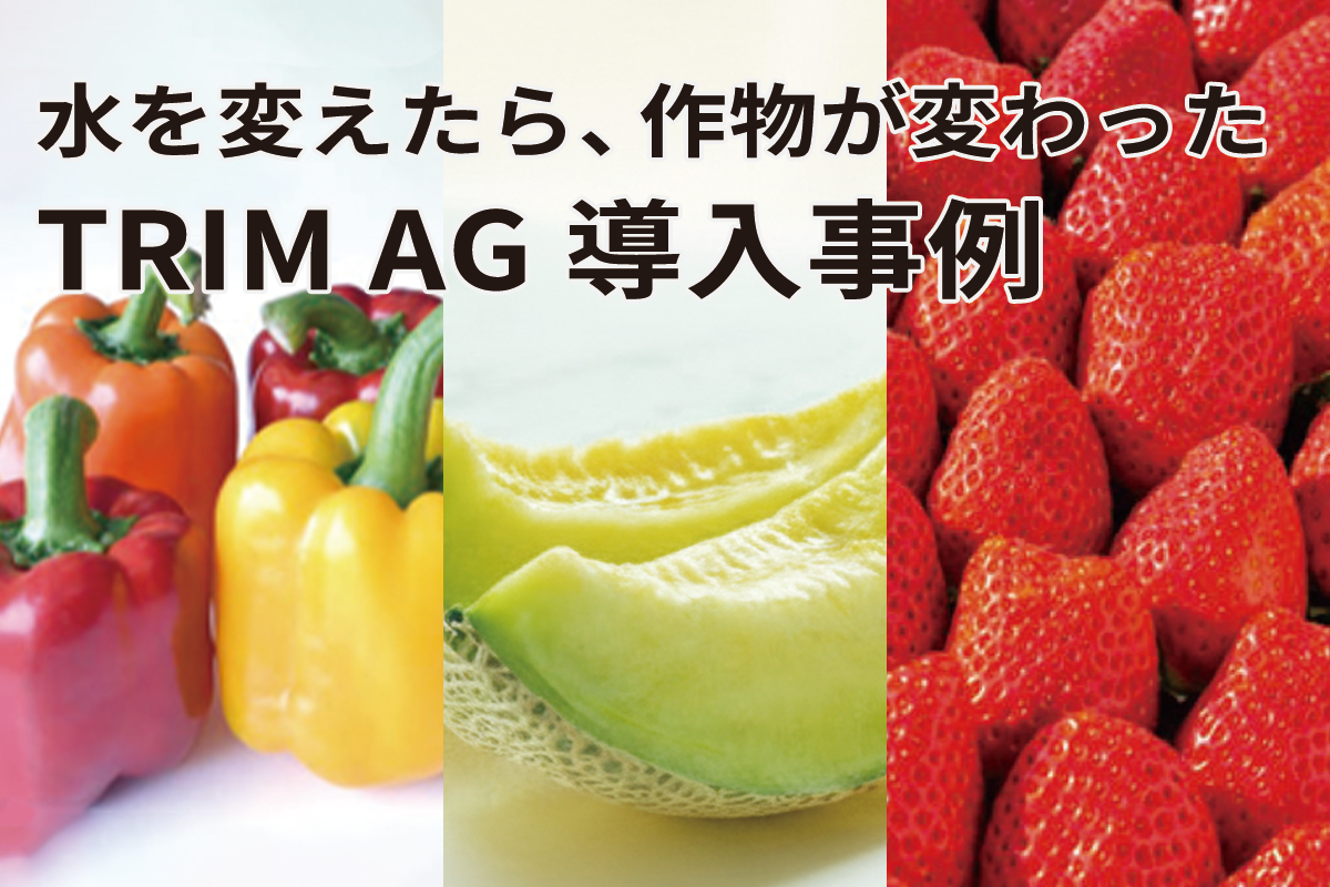 水を変えたら、作物が変わった。TRIM AG導入事例