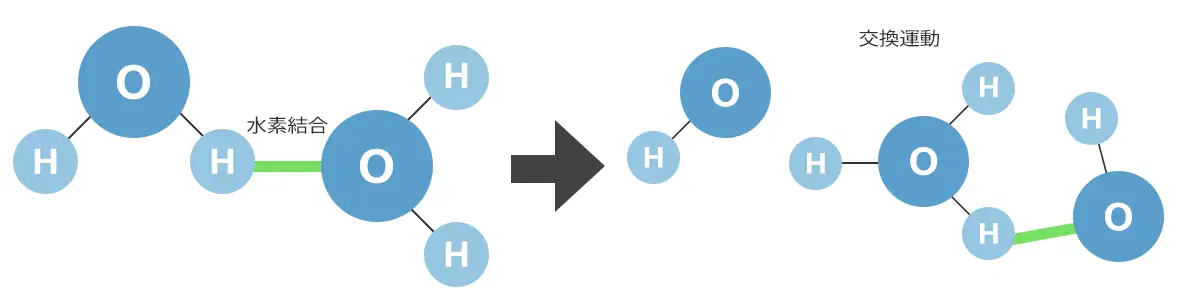πウォーターの水素結合と交換運動の説明図