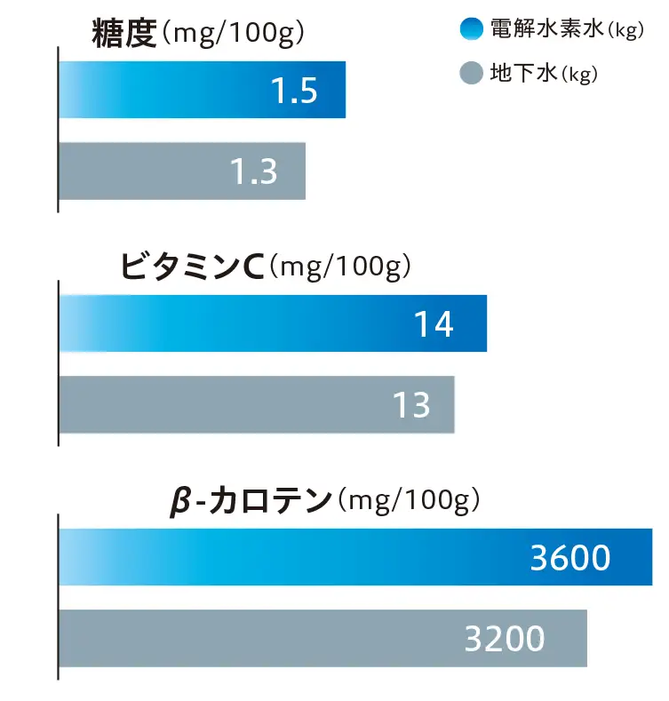 小松菜の養液栽培試験結果　栄養素の向上