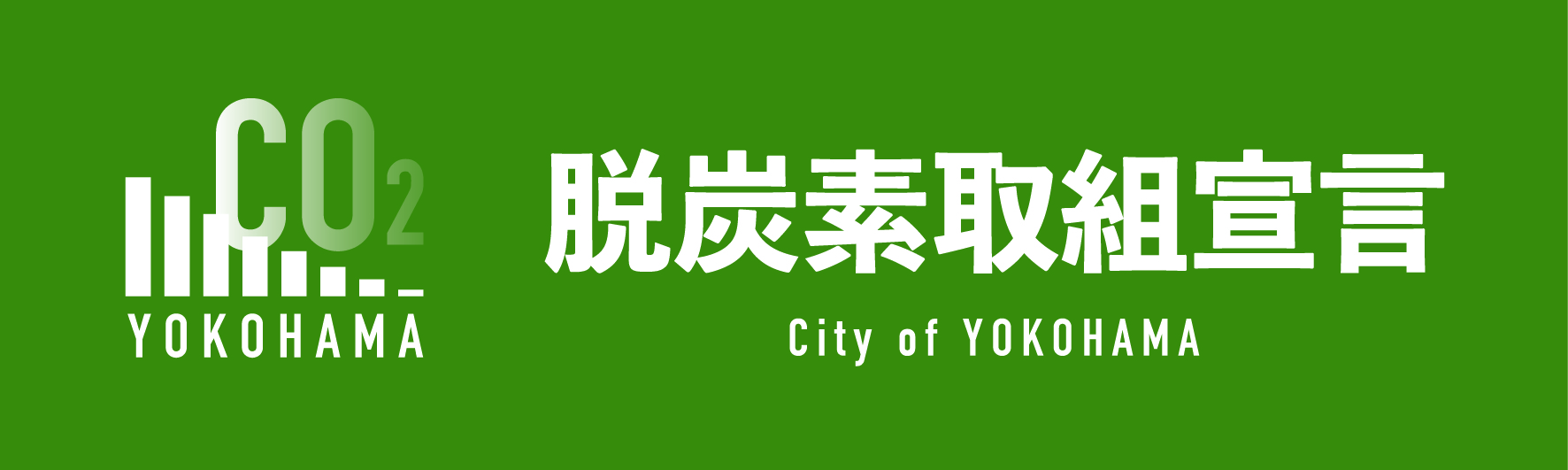 �E�Y�f�錾���S