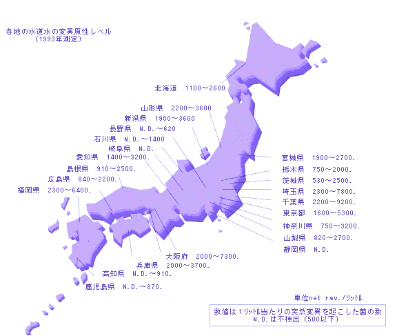 1993年測定
