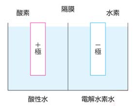 電解槽