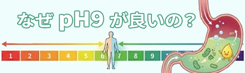 �Ȃ��upH9�v���ǂ��̂��H �ݒ��ɓ͂��Ȋw�I����