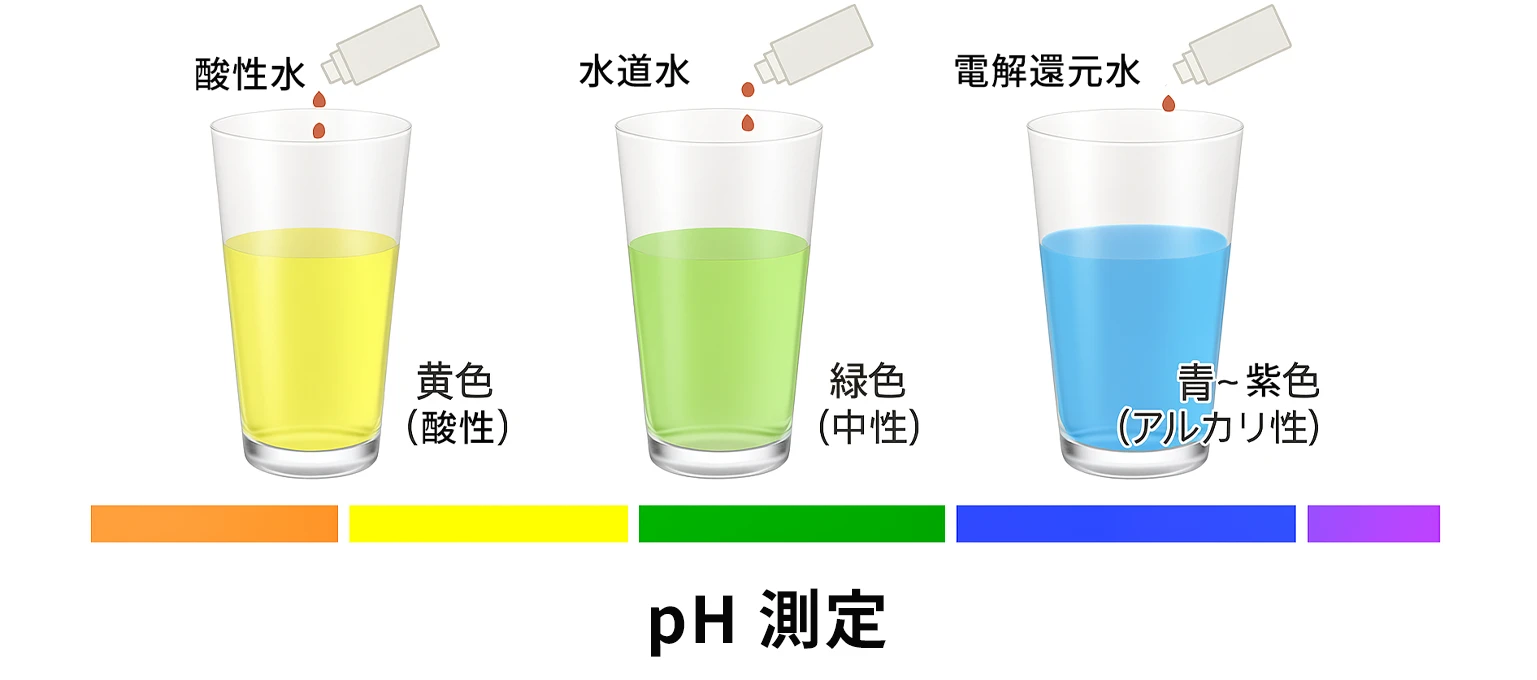 pH����̐����}