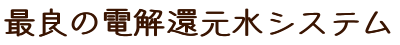 �l�������ꂽ���f���V�X�e��