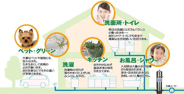 ビューター