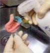 高濃度次亜塩素 フィリオ30 5L業務用
