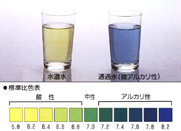 水質検査