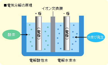 電機分解
