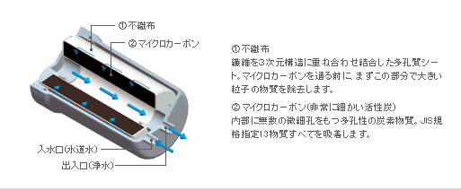 �J�[�g���b�W�̒f�ʐ}�摜
